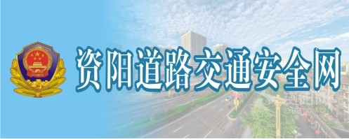 屄屌网资阳道路交通安全网